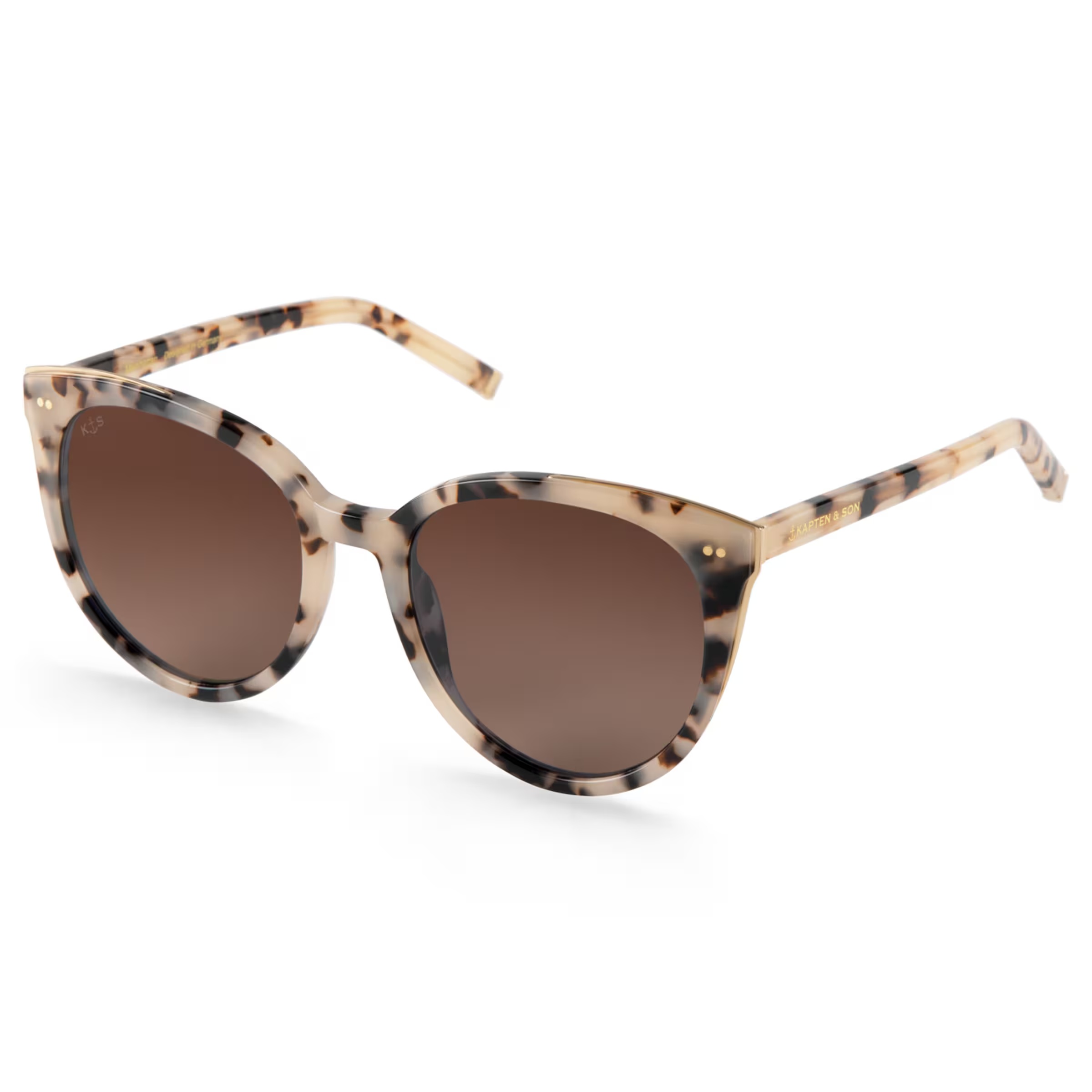 Tortue des sables de Manhattan brune
