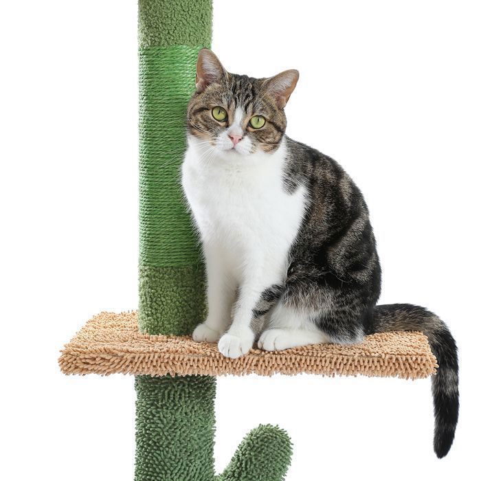 Árvore para gatos PAWZ Road em formato de cacto, para teto, altura ajustável, poste arranhador de sisal, rede suspensa, 229-275 cm