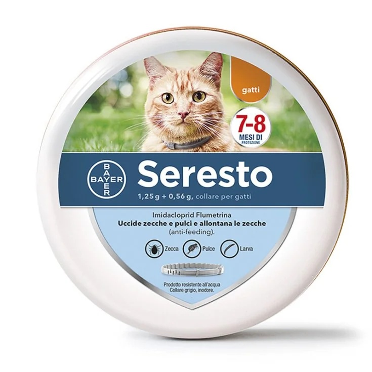SERESTO Collier Antiparasitaire Seresto pour Chat 38cm