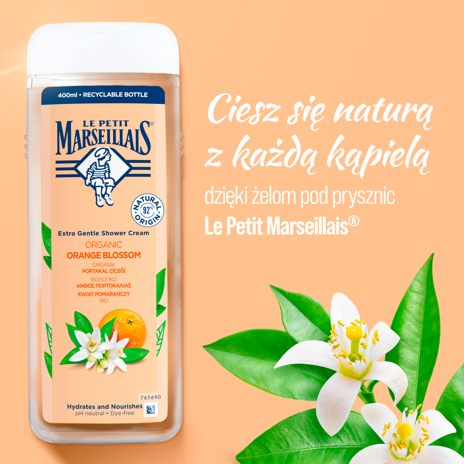Micul Marsiliez
