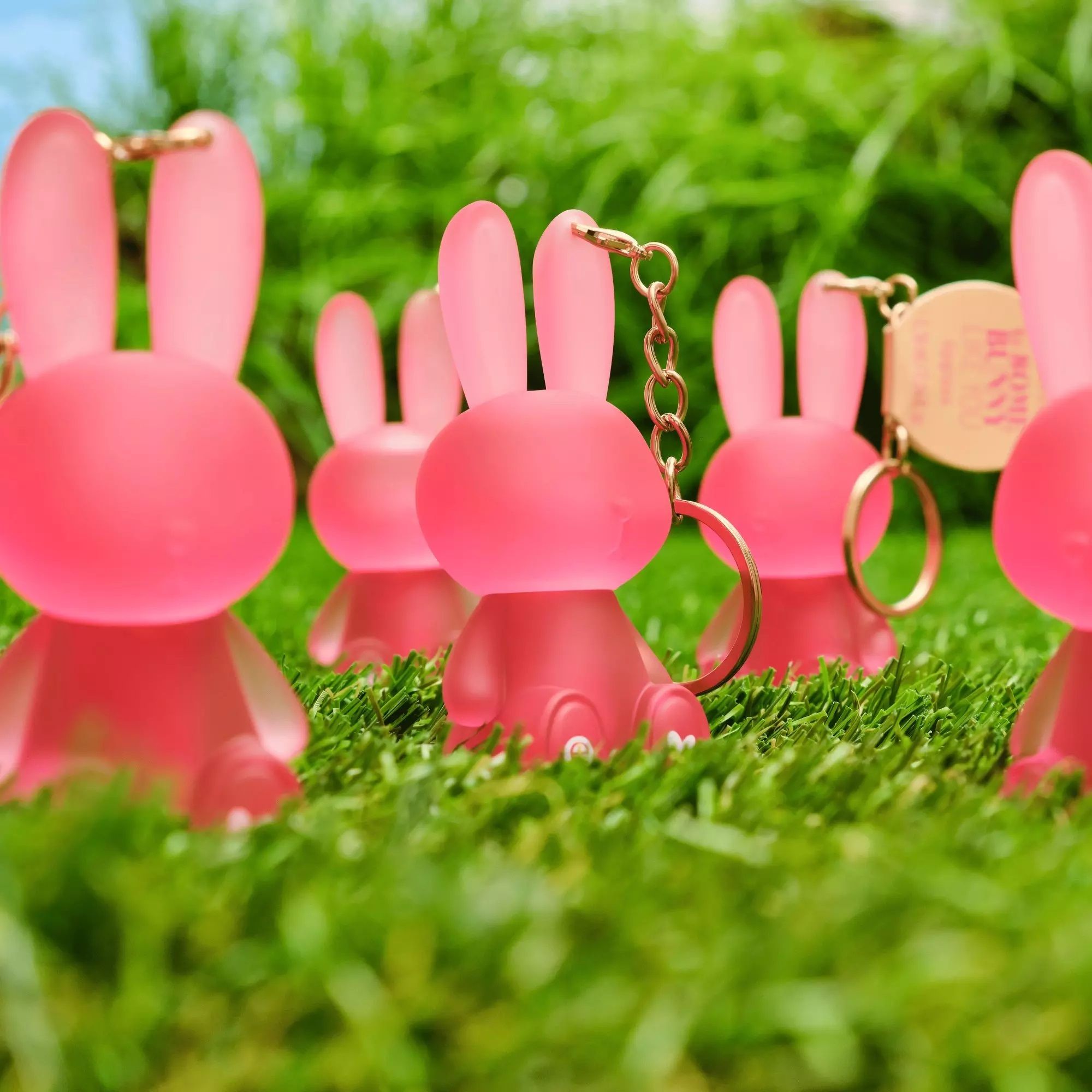 „Some Bunny Like You“ lūpų blizgiai Lūpų blizgiai ir lūpų blizgiai
