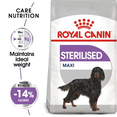 Royal Canin Maxi Sterilizat