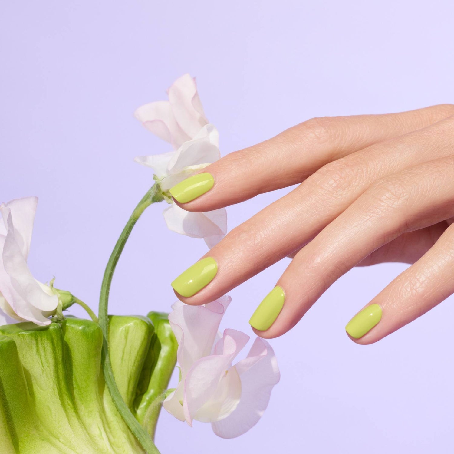 Lime