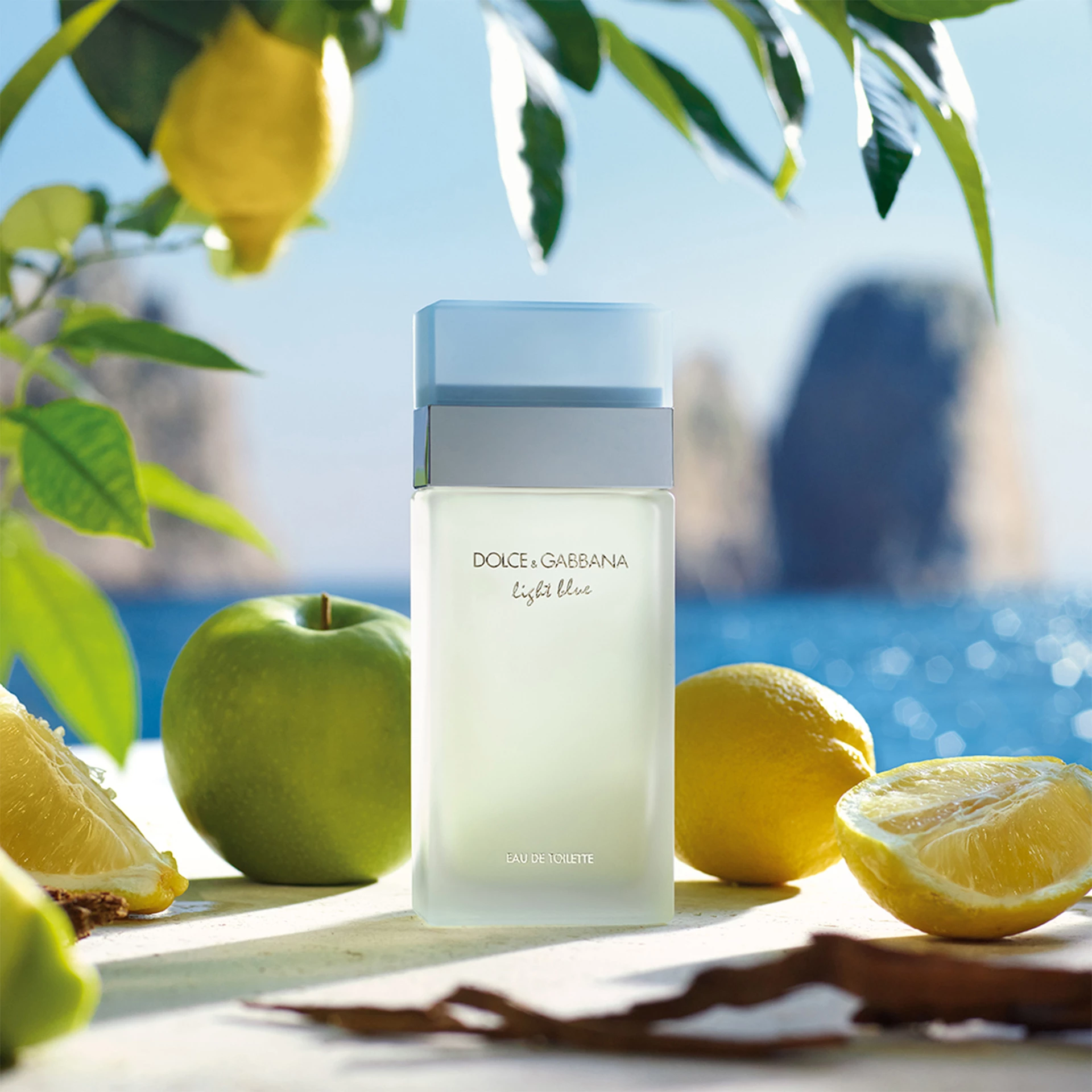 Svetlo modra toaletna voda 50 ml - Dolce & Gabbana