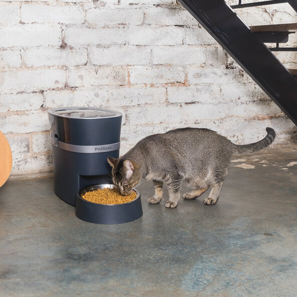 Smart Feed Futterautomat, mit Smartphone-Steuerung per App
