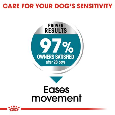 Royal Canin Maxi Soins des articulations