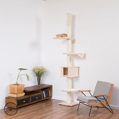 Natural Paradise Takklössträd - Orkidé