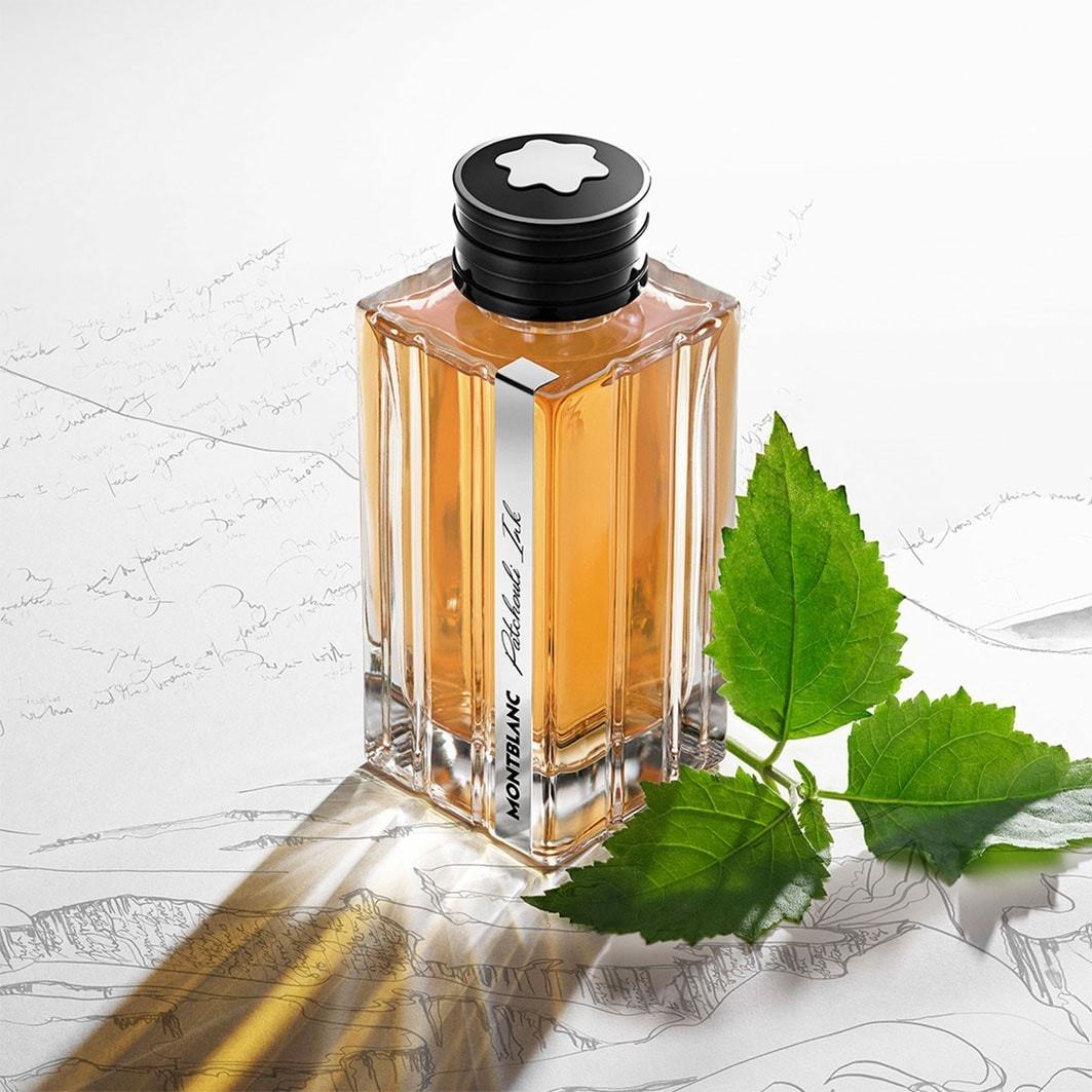 Montblanc Eau de Parfum Montblanc Collection Montblanc Collection Patchouli Ink parfemska voda 125 ml – 125 ml