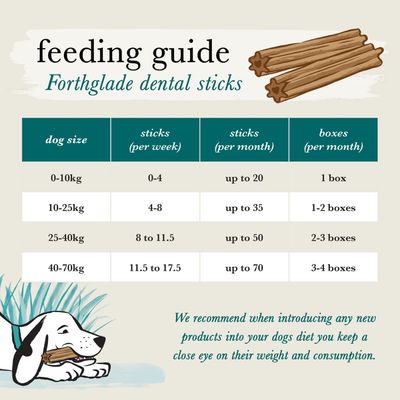 Forthglade Natural Dental Sticks dla psów