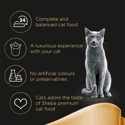 Tace z przepisami Sheba Fine Recipes