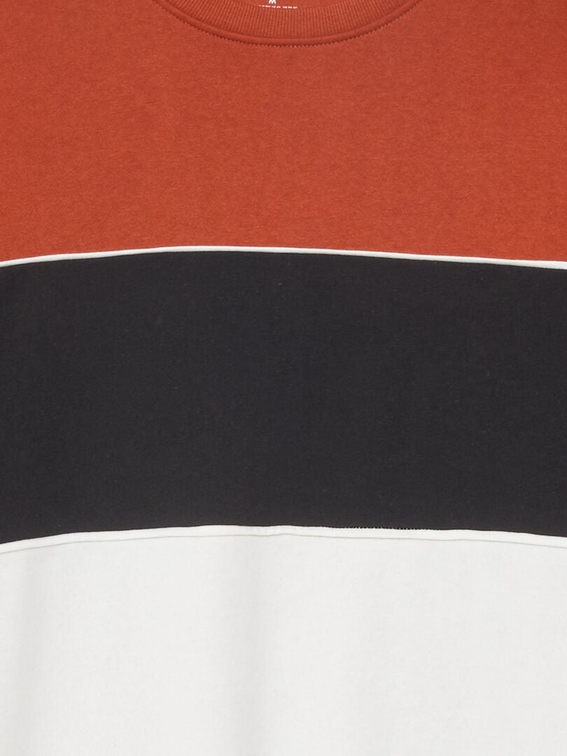 Sweatshirt met kleurblokken van fleecestof - BRUIN