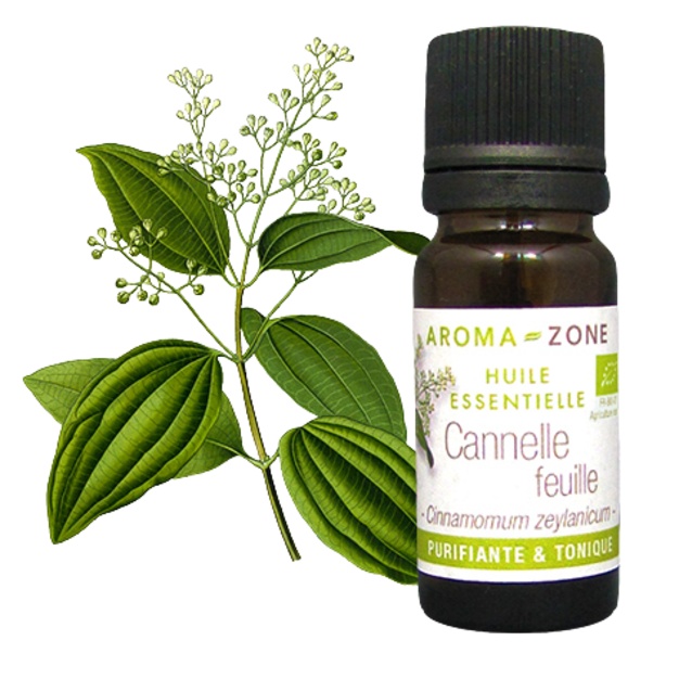 Ätherisches Bio-Zimtblattöl aus Ceylon, 10 ml