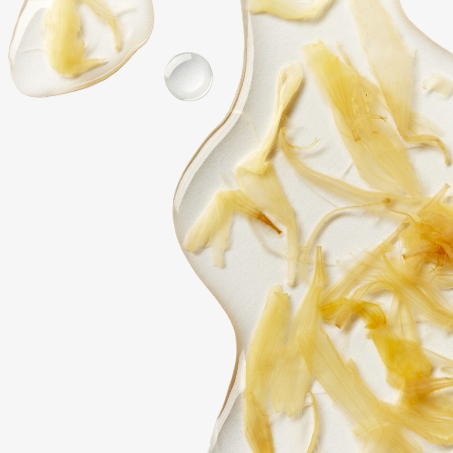 Kiehl’s Herbal Extract-Toner