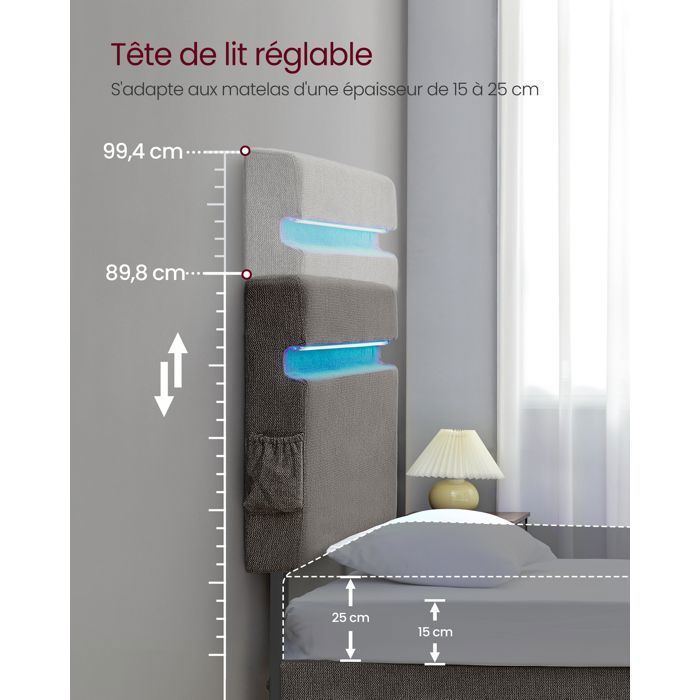 VASAGLE Lit Simple en Métal, 90 x 190 cm, Cadre de Lit, Tête de Lit Réglable, Éclairage LED, Prise Port USB et Type-C, Gris Foncé