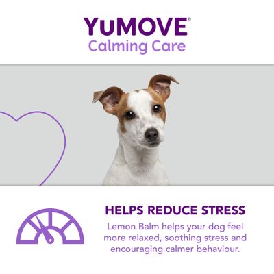 YuMOVE Beruhigende Pflege für erwachsene Hunde