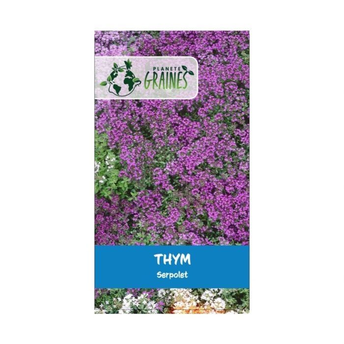 500 semillas de tomillo silvestre - Alternativa al césped: Sustituye al césped - Cubierta vegetal aromática y atractiva para las abejas