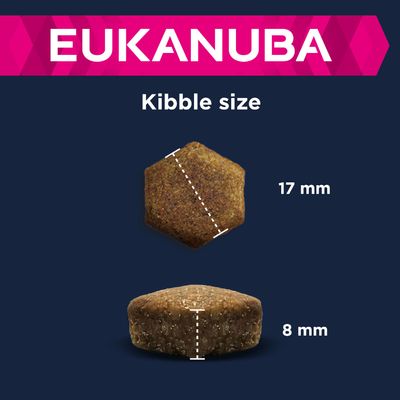 Eukanuba Senior Große & Riesige Rassen – Lamm & Reis