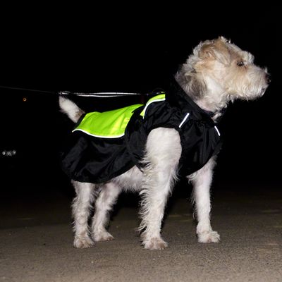 Manteau pour chien Illume Nite - Néon