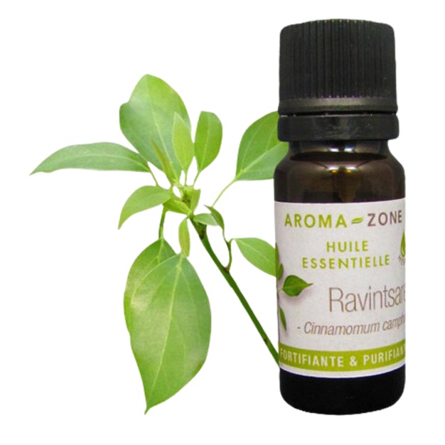 Esenciální olej Ravintsara (Ravintsare) BIO 10ml
