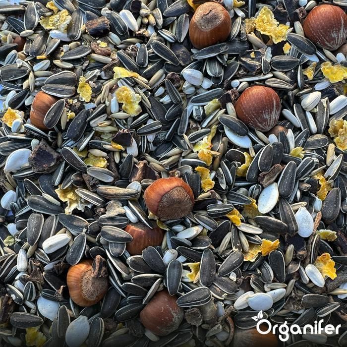 Graines - Aliments pour animaux pour écureuils - Organifer - Mélange Naturel Avec Noix Entières - 20 kg