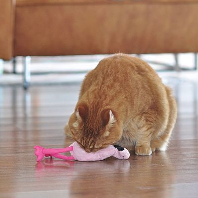 Aumüller Pinky Flamingo med baldrian og spelt