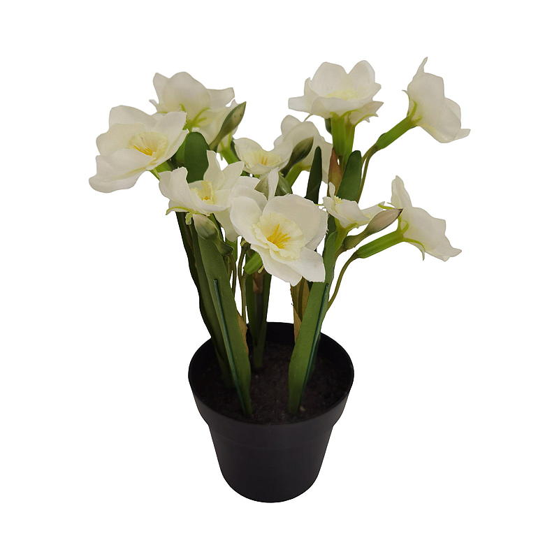Hem Påsklilja 24 cm