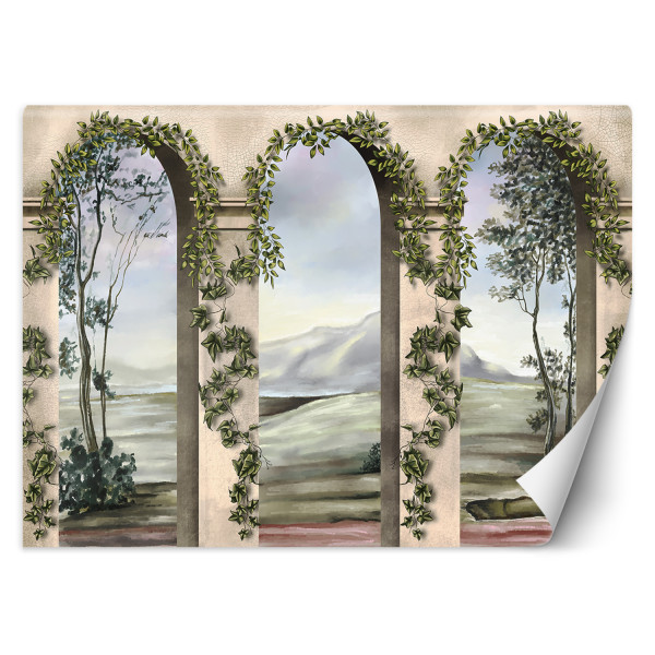 Feeby Fototapeta, Kolumny łuki bluszcz 150x105