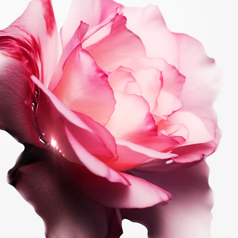 Frasco recarregável de Mugler Angel Nova Eau de Parfum para mulheres