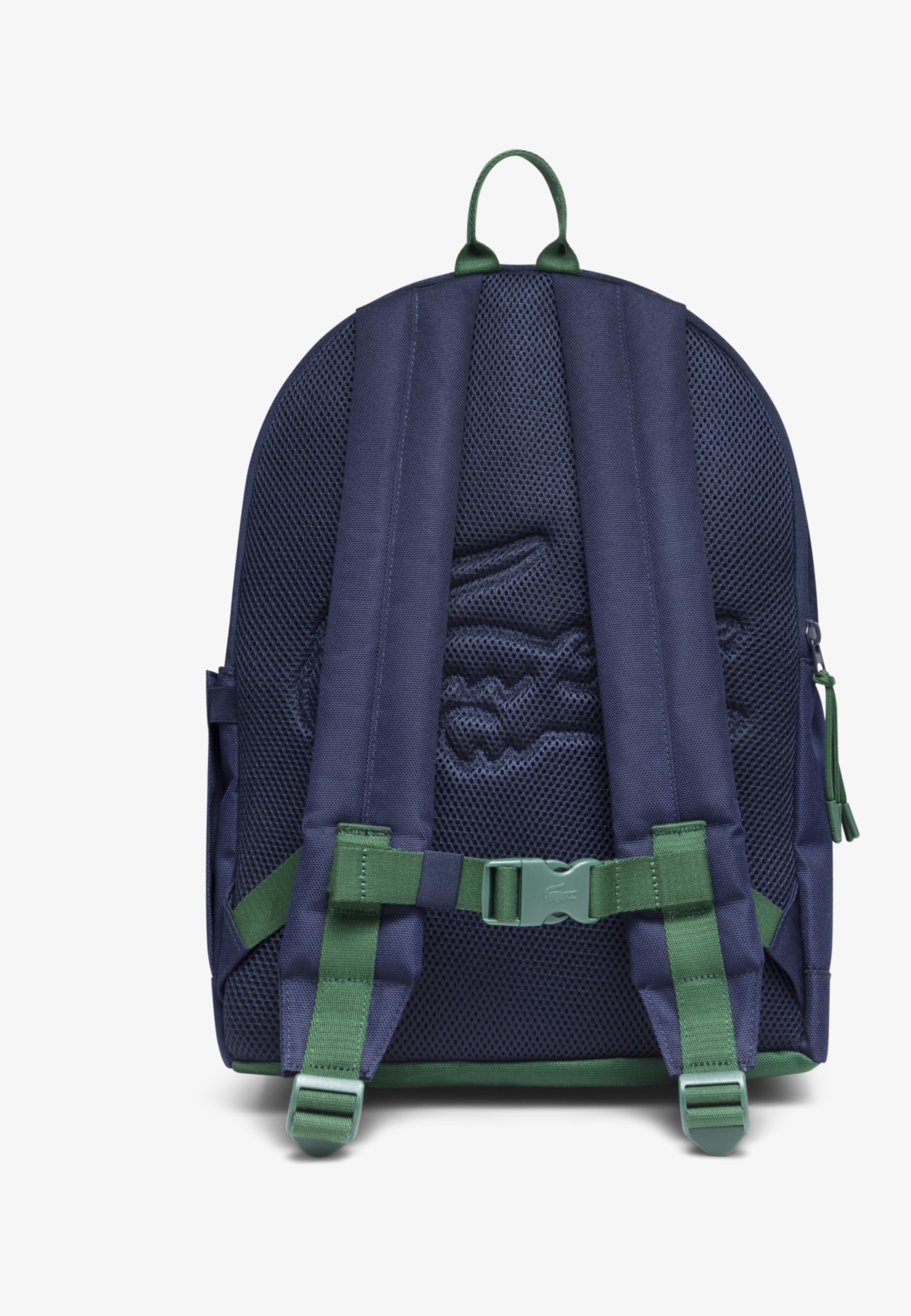 Sac à dos Lacoste CORE SOLID - bleu foncé/vert