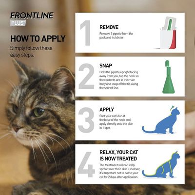 FRONTLINE® Plus Spot On for katter