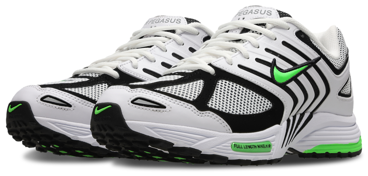 Nike Pegasus 2005