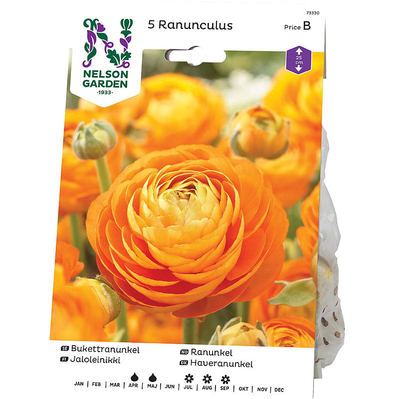 Nelson have Ranunkel, orange