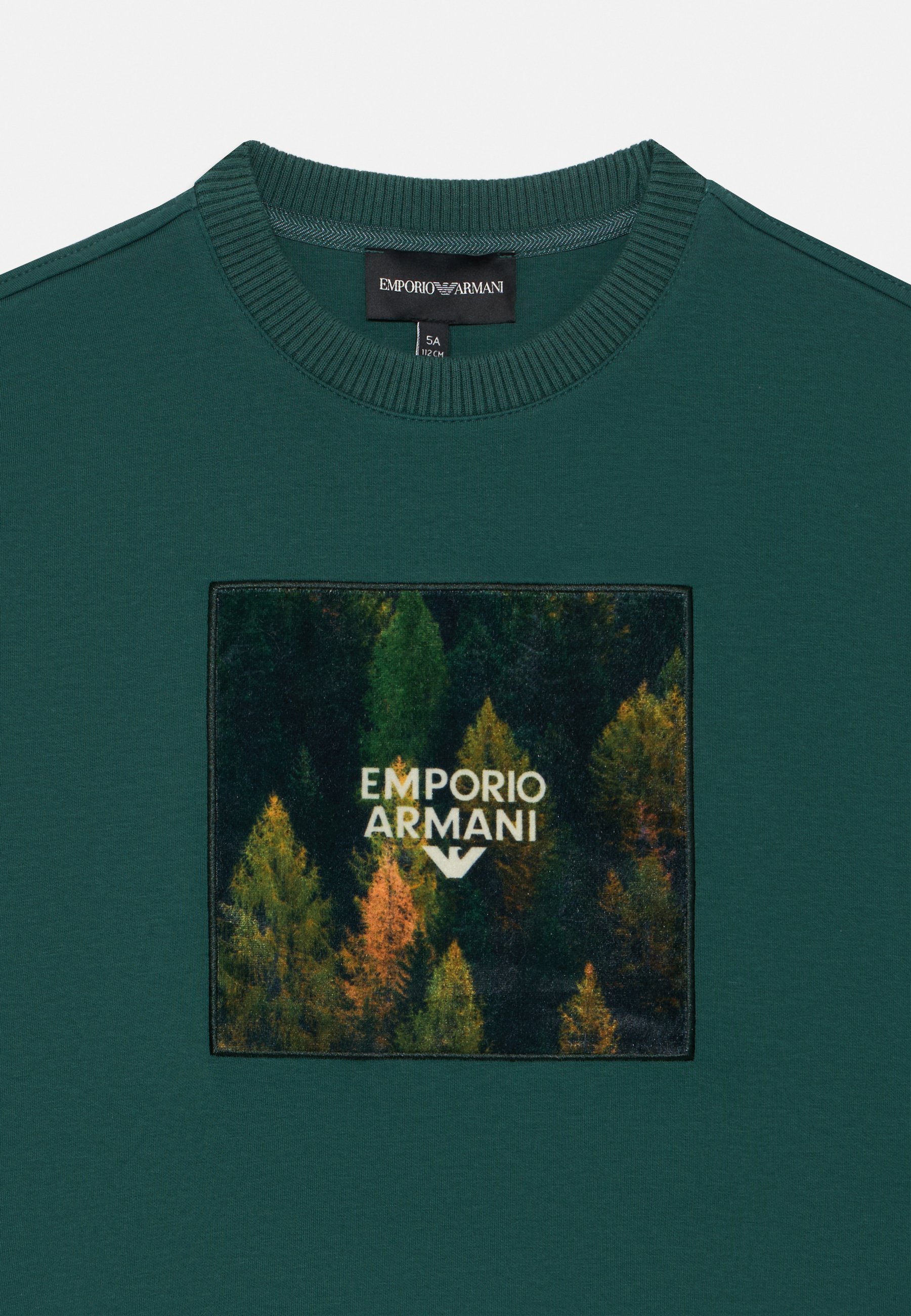 Emporio Armani Sweatshirt - grün