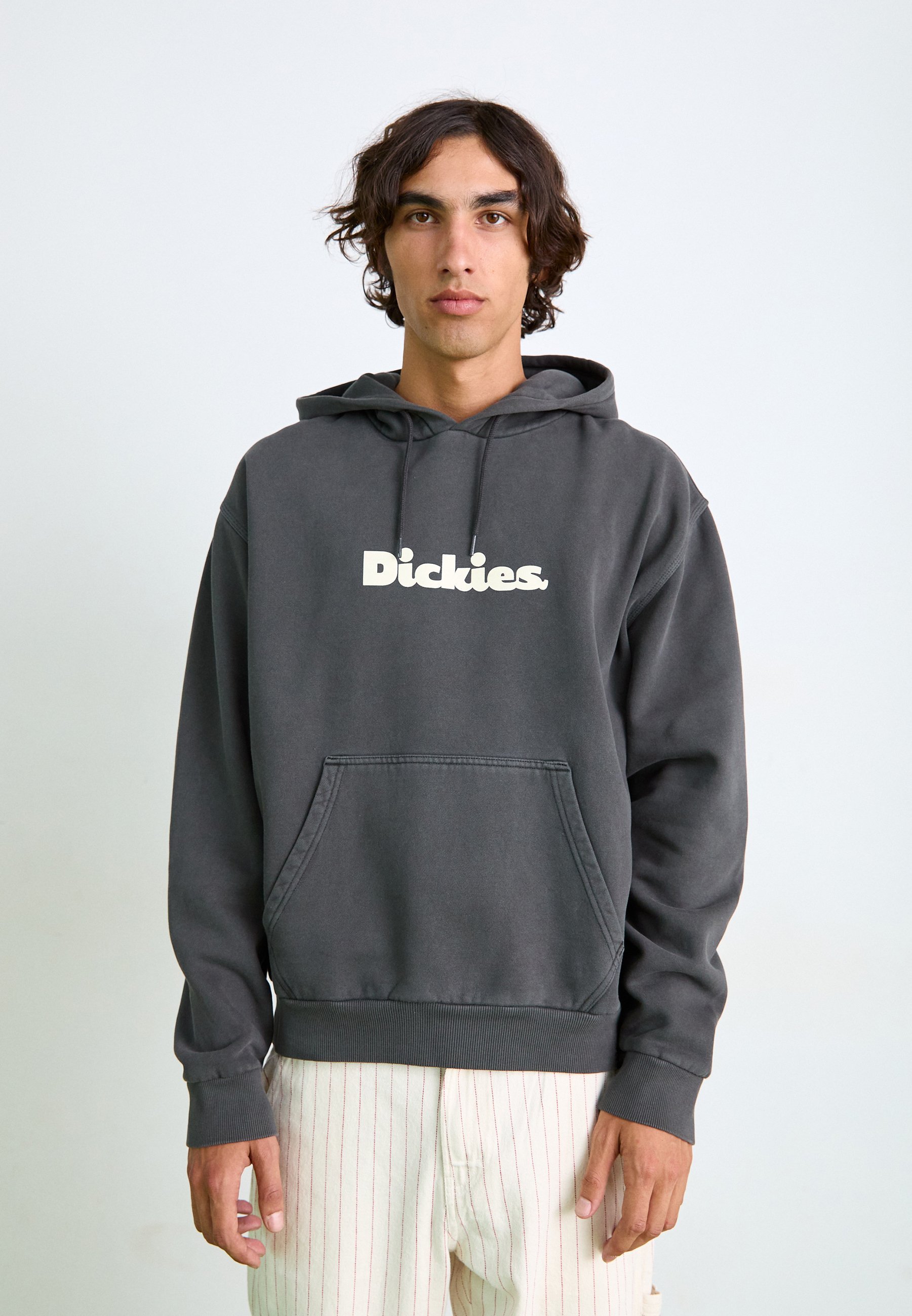 Dickies Hoodies