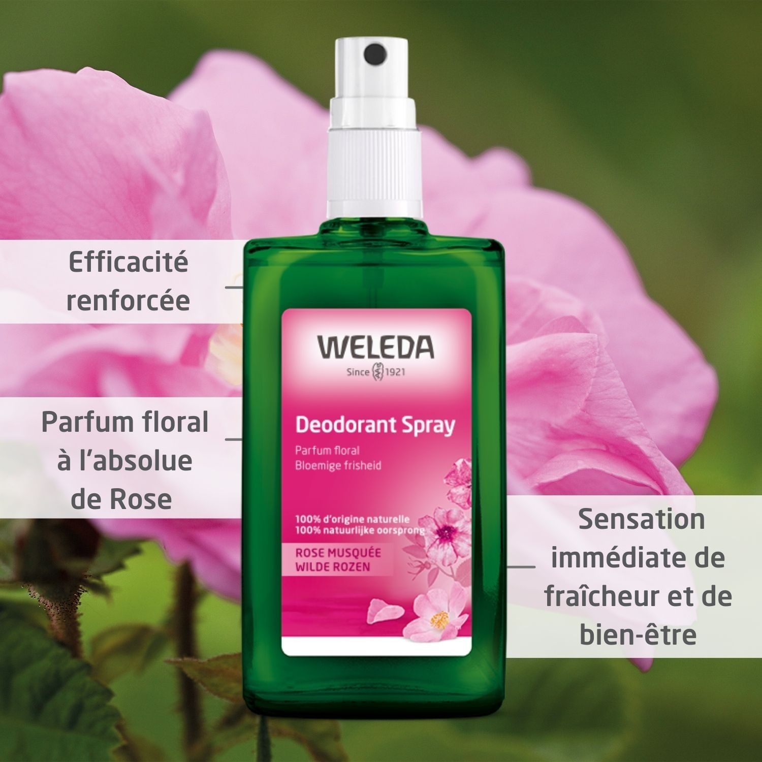 Weleda Déodorant spray Rose musquée