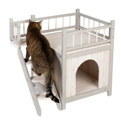 Casetta dei giochi del gatto principe