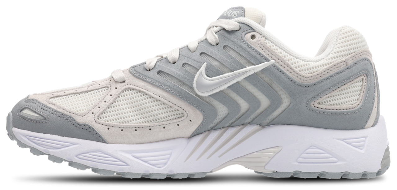 Nike Pegasus 2005