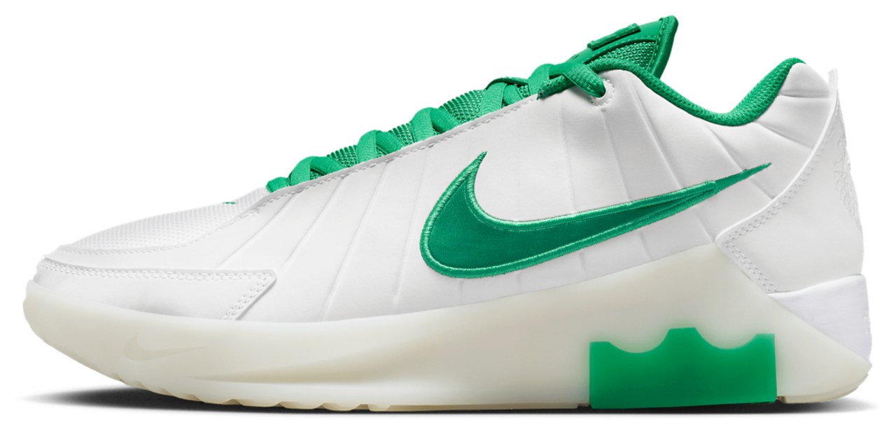 Nike Lebron Witness 9