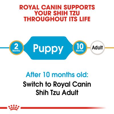 Royal Canin Shih Tzu valp