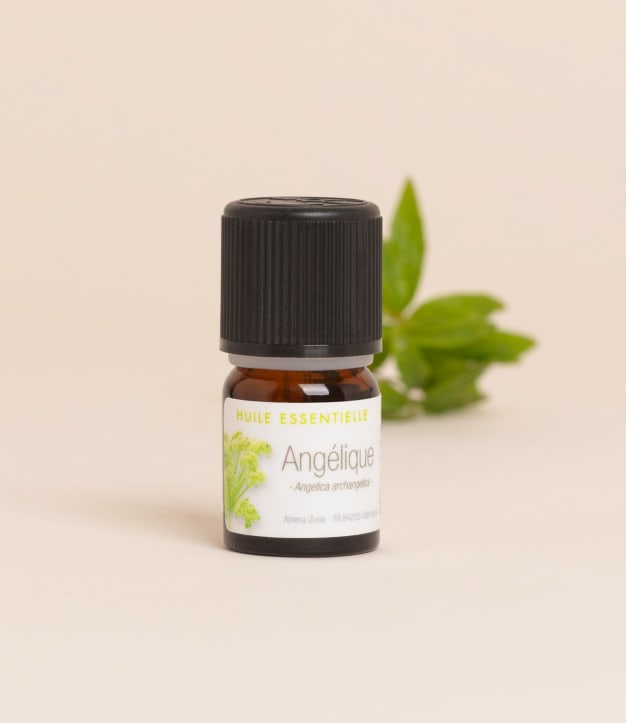 Huile essentielle Angélique archangélique 2ml