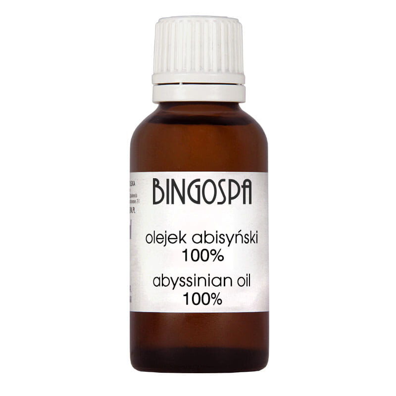 Bingospa