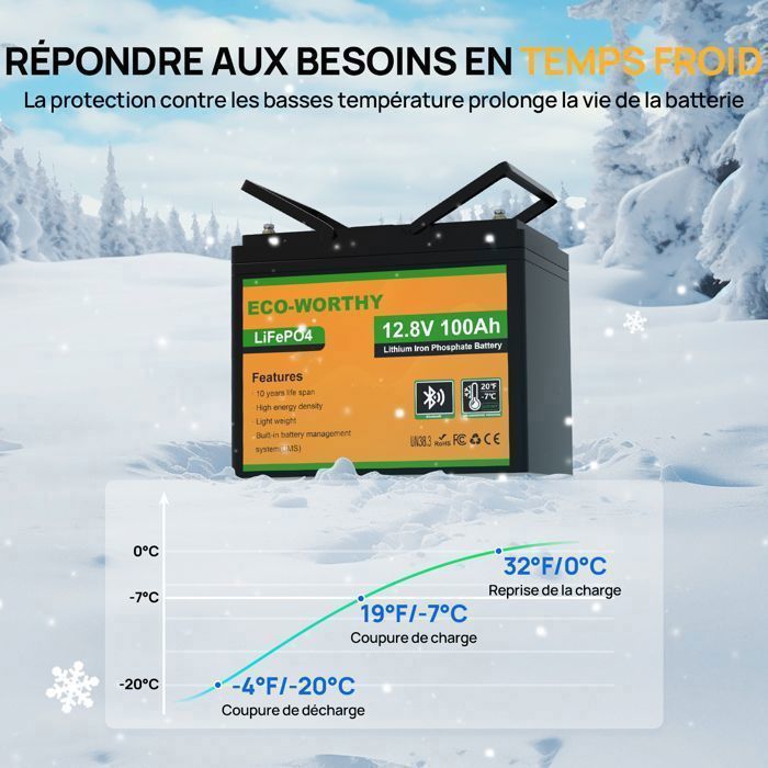 100Ah 12V 1.2KWh Lithium Battery with Bluetooth, LiFePO4 Battery for Power Wheels, Motorhomes