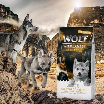 Bœuf fermier Wolf of Wilderness Junior « Rocky Canyons »