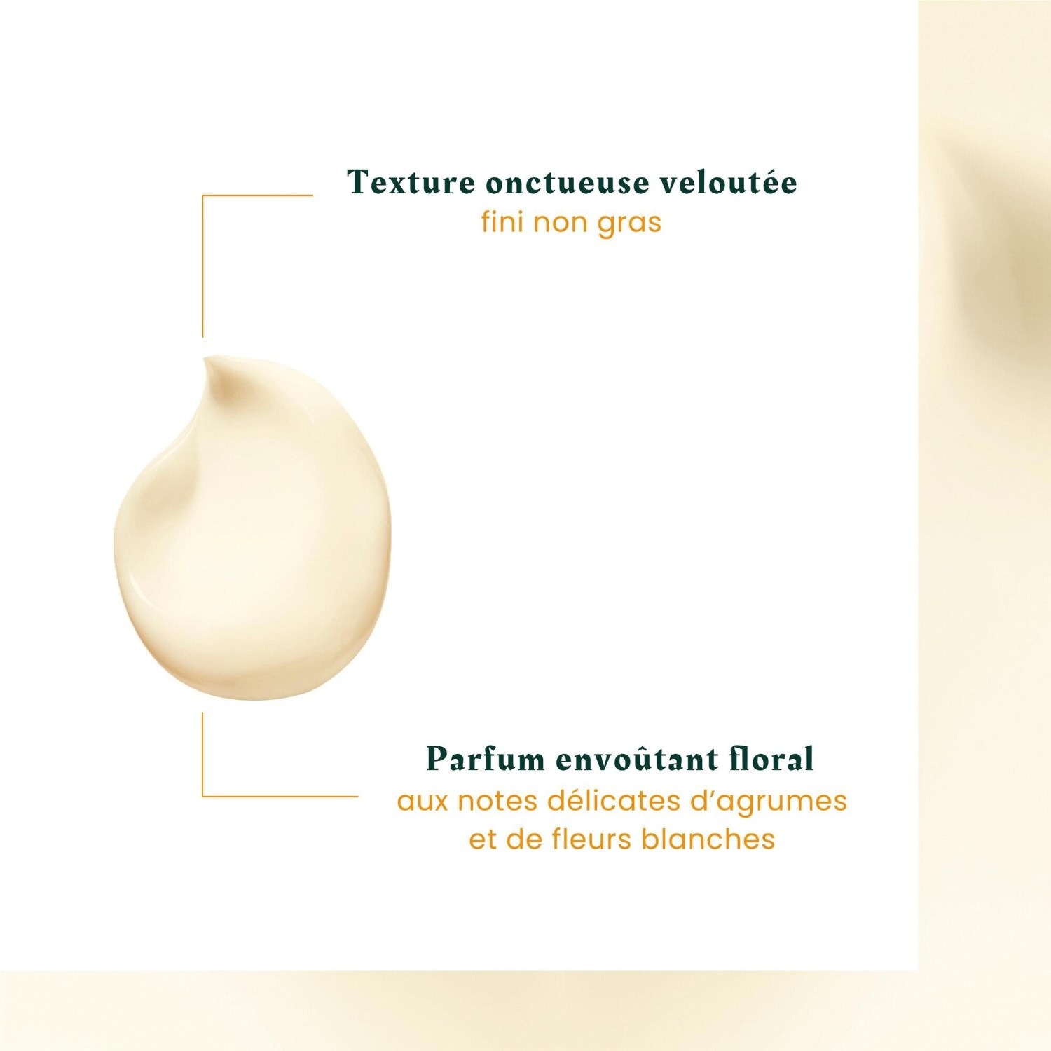 René Furterer Crème de jour nutrition intense