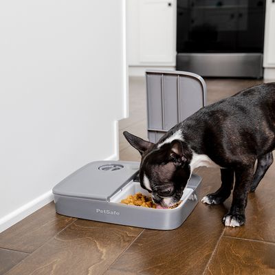 Αυτόματη ταΐστρα κατοικίδιων PetSafe® 2 γευμάτων