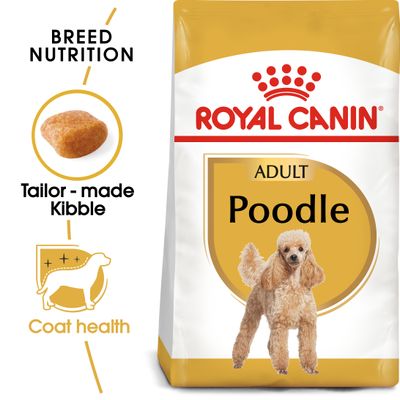 Royal Canin Puddel Adult