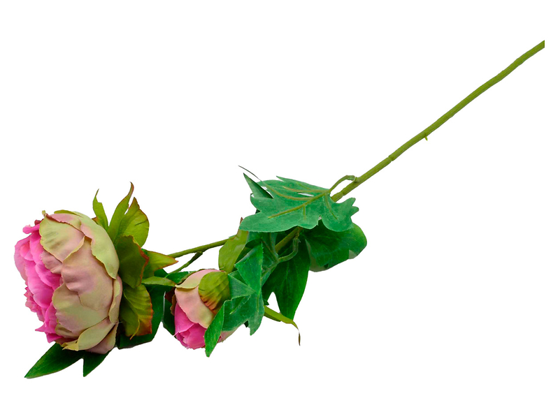 Peonia gałązka 60 cm różowa