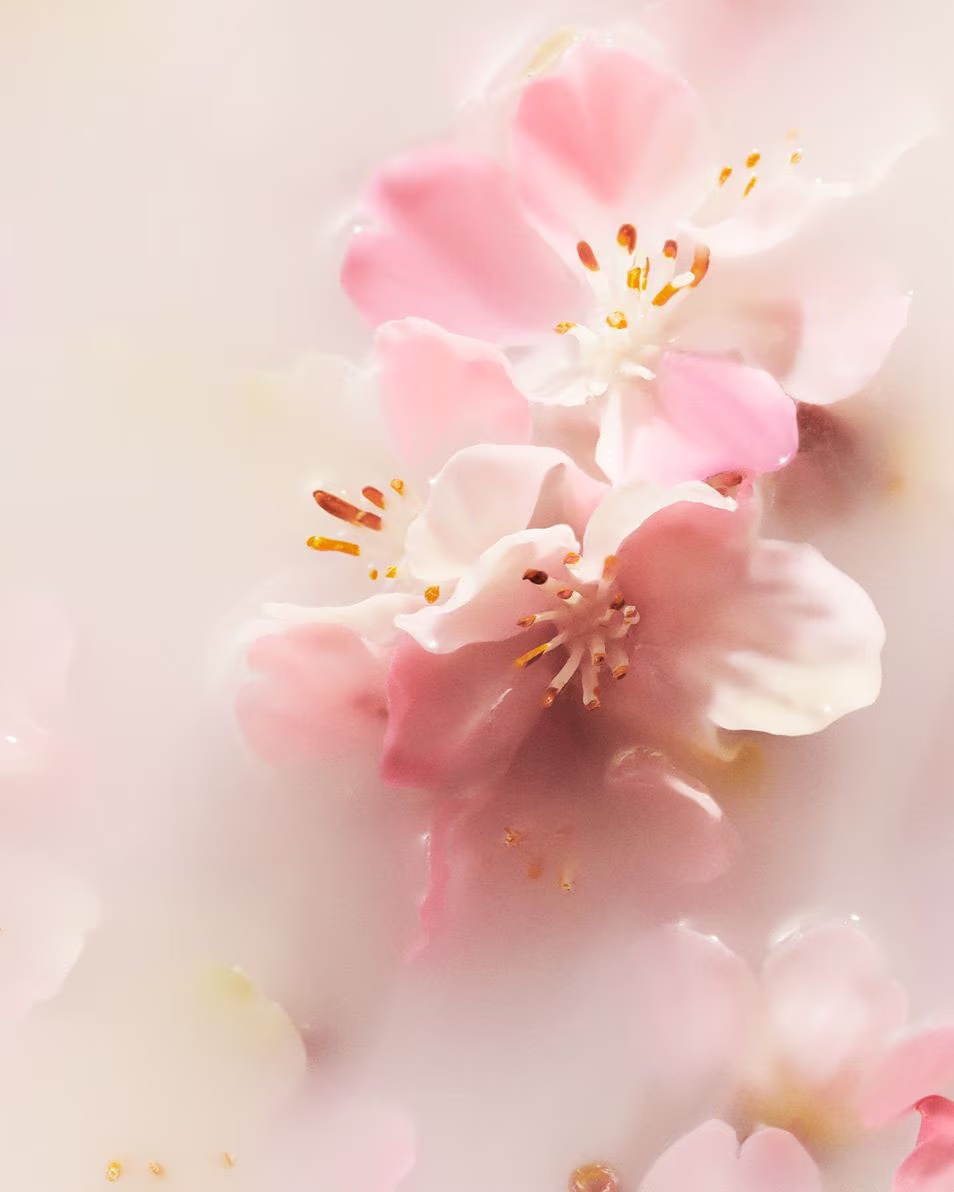 Rezervă de parfum RITUALS The Ritual of Sakura