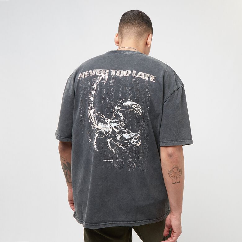 Camiseta extragrande Filbert