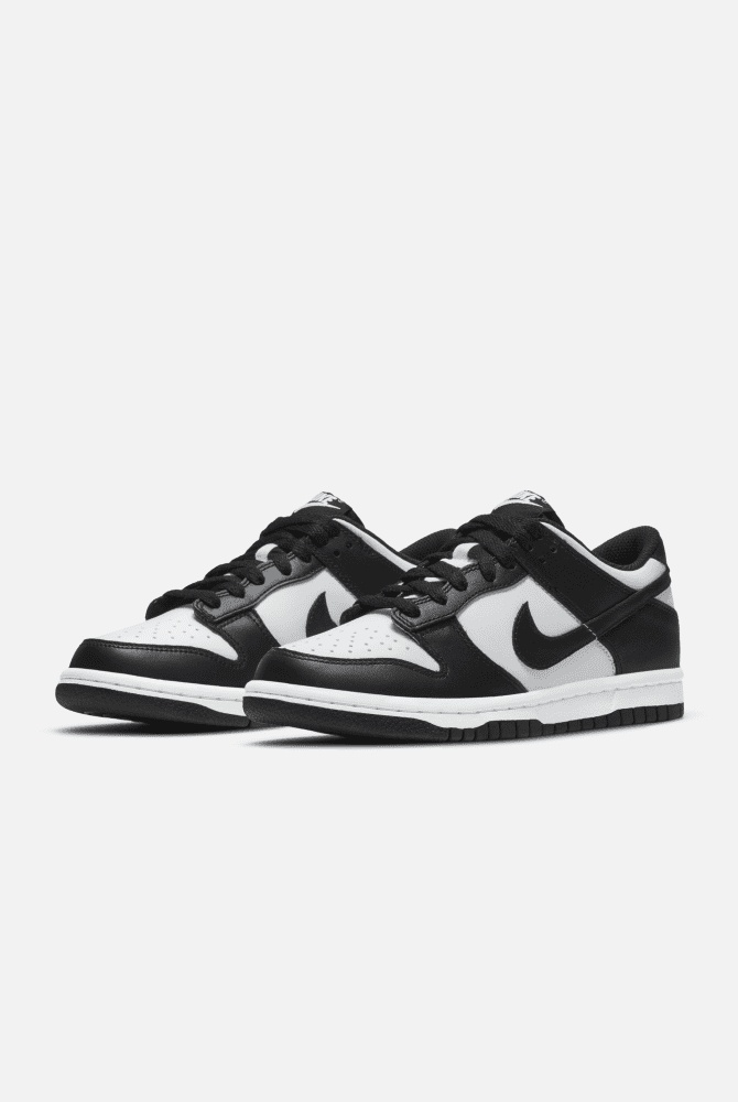 Nike Dunk Low Retro Men's Shoes